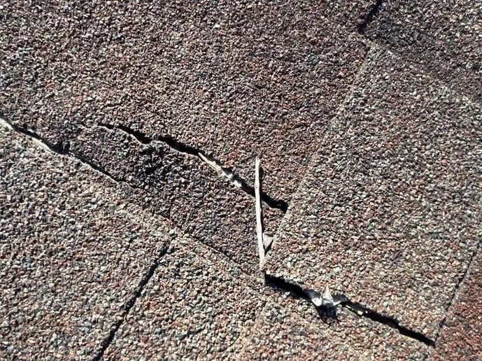 b9f2cc67-e186-4641-8a78-9bbe570aa433_m2m2mzmzotuuanbn