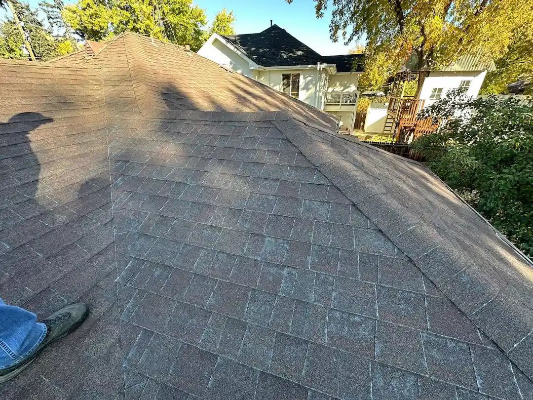 down-net_http20260120-170-tji7l7