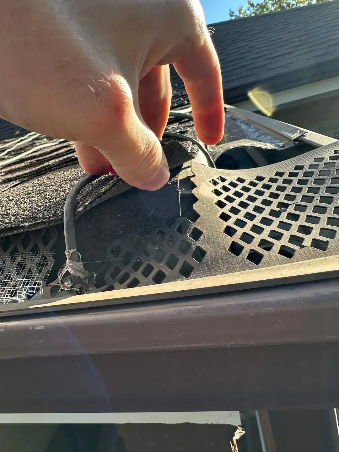 down-net_http20260120-3618-5xh7d4