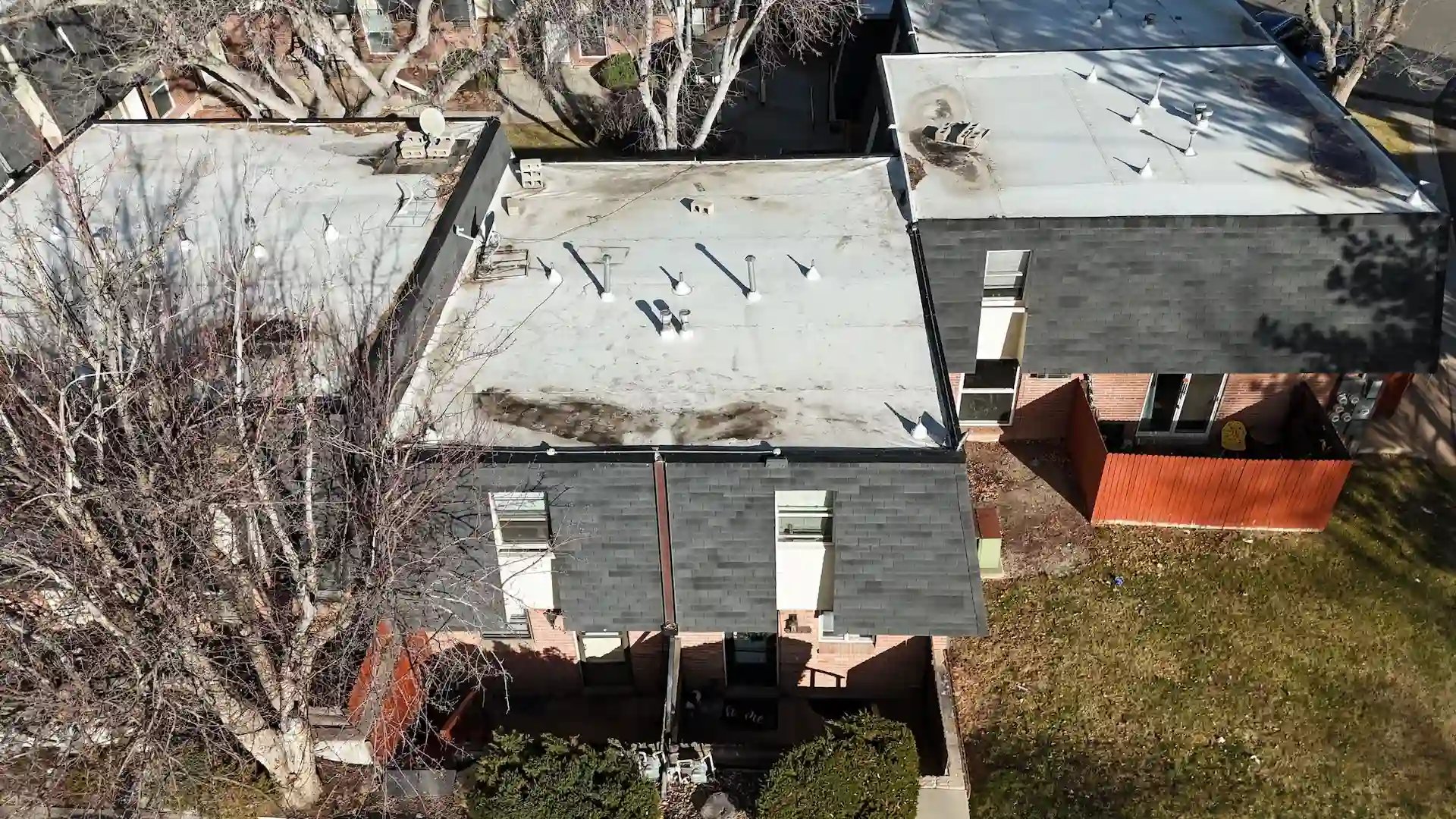 down-net_http20260123-177-ookl6q