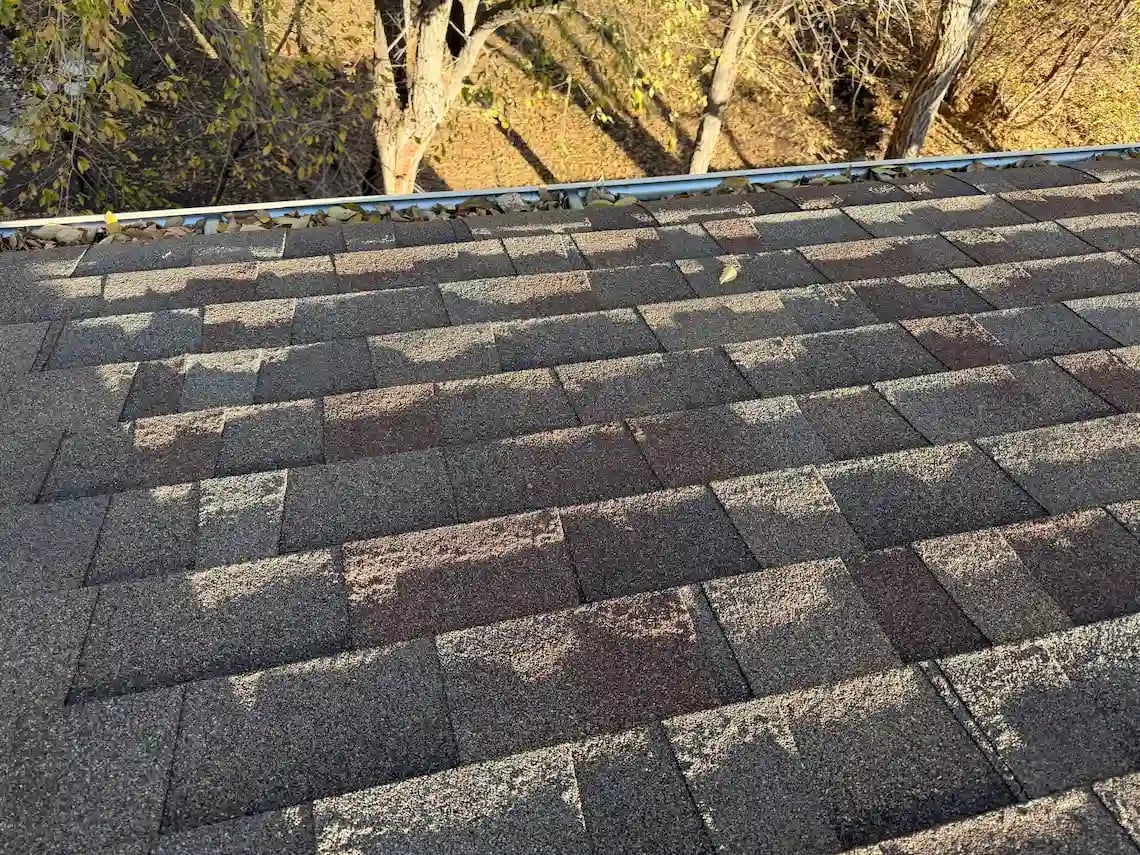 down-net_http20260327-150-oq08s3