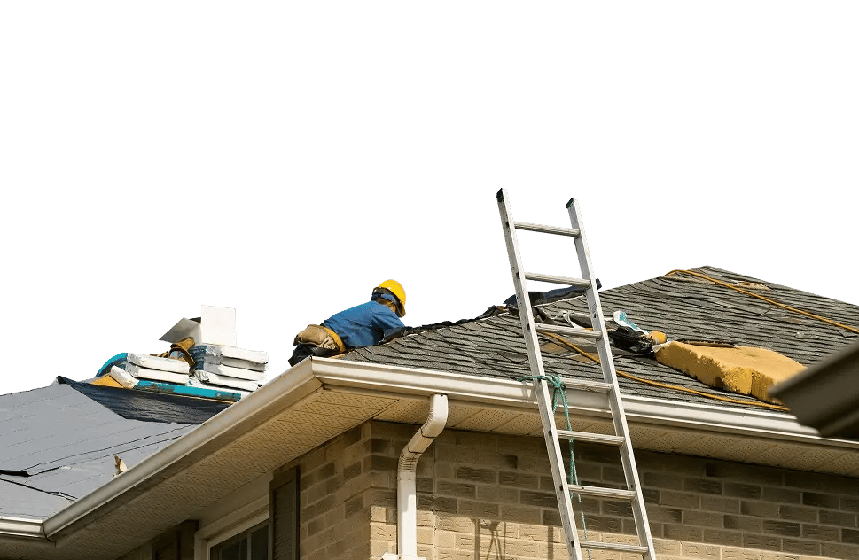 shutterstock_1519264805 2