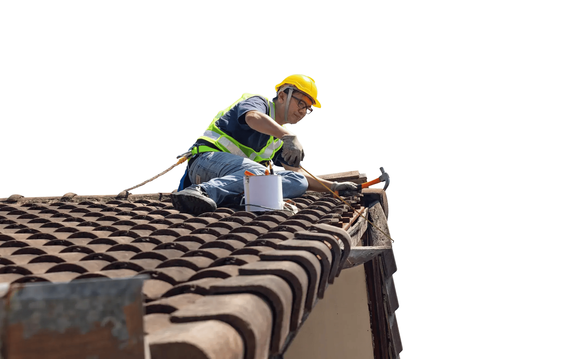 Shutterstock Image 2473154845 2